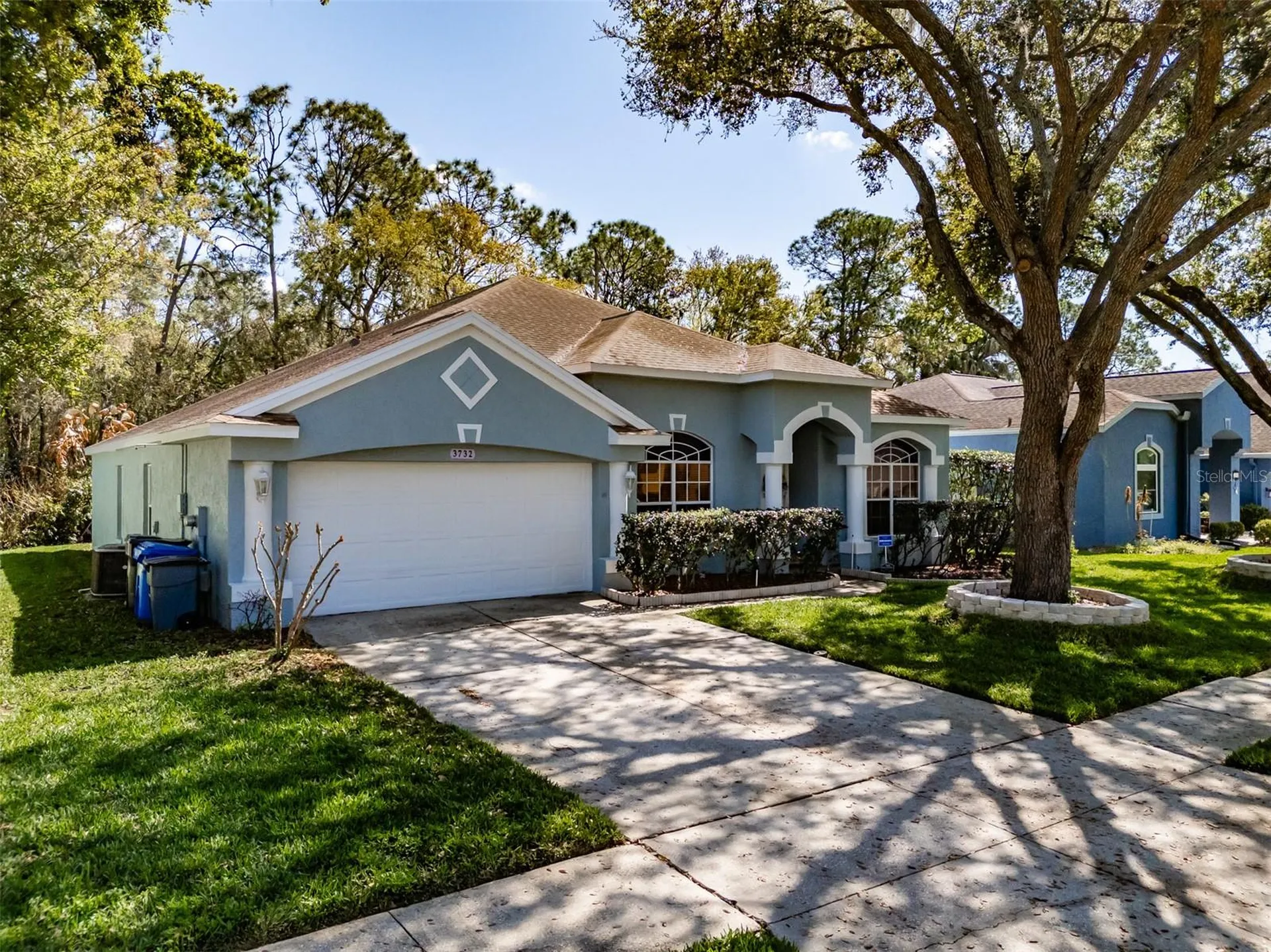3732 Hollow Wood Drive Valrico FL 33596