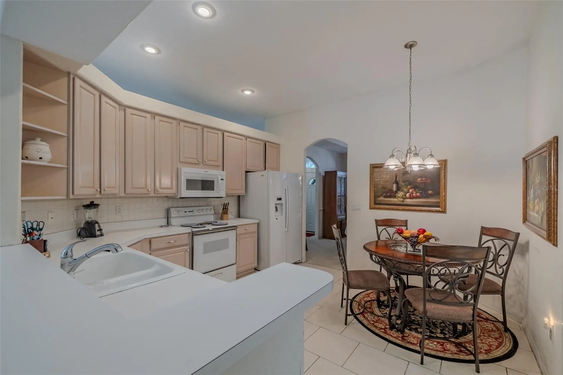 3732 Hollow Wood Drive Valrico FL 33596