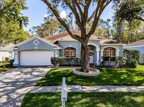 3732 Hollow Wood Drive Valrico FL 33596