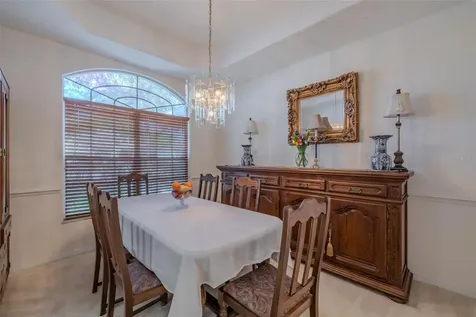 3732 Hollow Wood Drive Valrico FL 33596