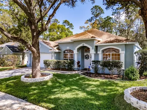 3732 Hollow Wood Drive Valrico FL 33596