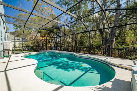 3732 Hollow Wood Drive Valrico FL 33596