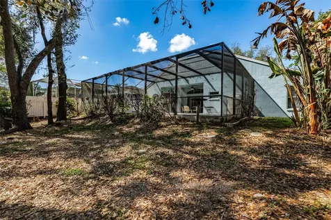 3732 Hollow Wood Drive Valrico FL 33596