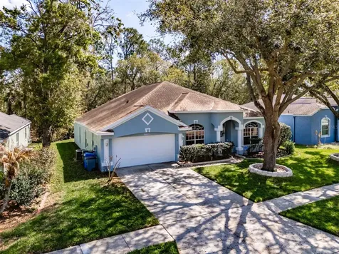 3732 Hollow Wood Drive Valrico FL 33596