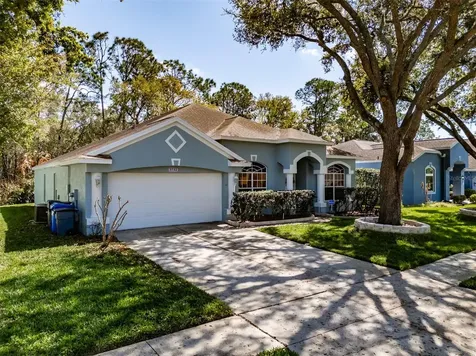 3732 Hollow Wood Drive Valrico FL 33596