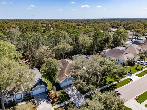 3732 Hollow Wood Drive Valrico FL 33596