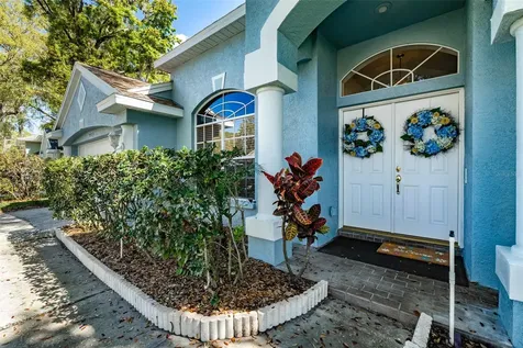 3732 Hollow Wood Drive Valrico FL 33596
