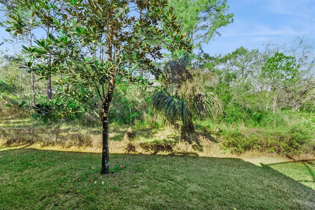 814 Miami Springs Drive Longwood FL 32779