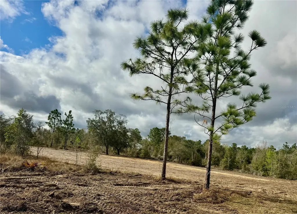 Tbd NE 108th Terrace Archer FL 32618