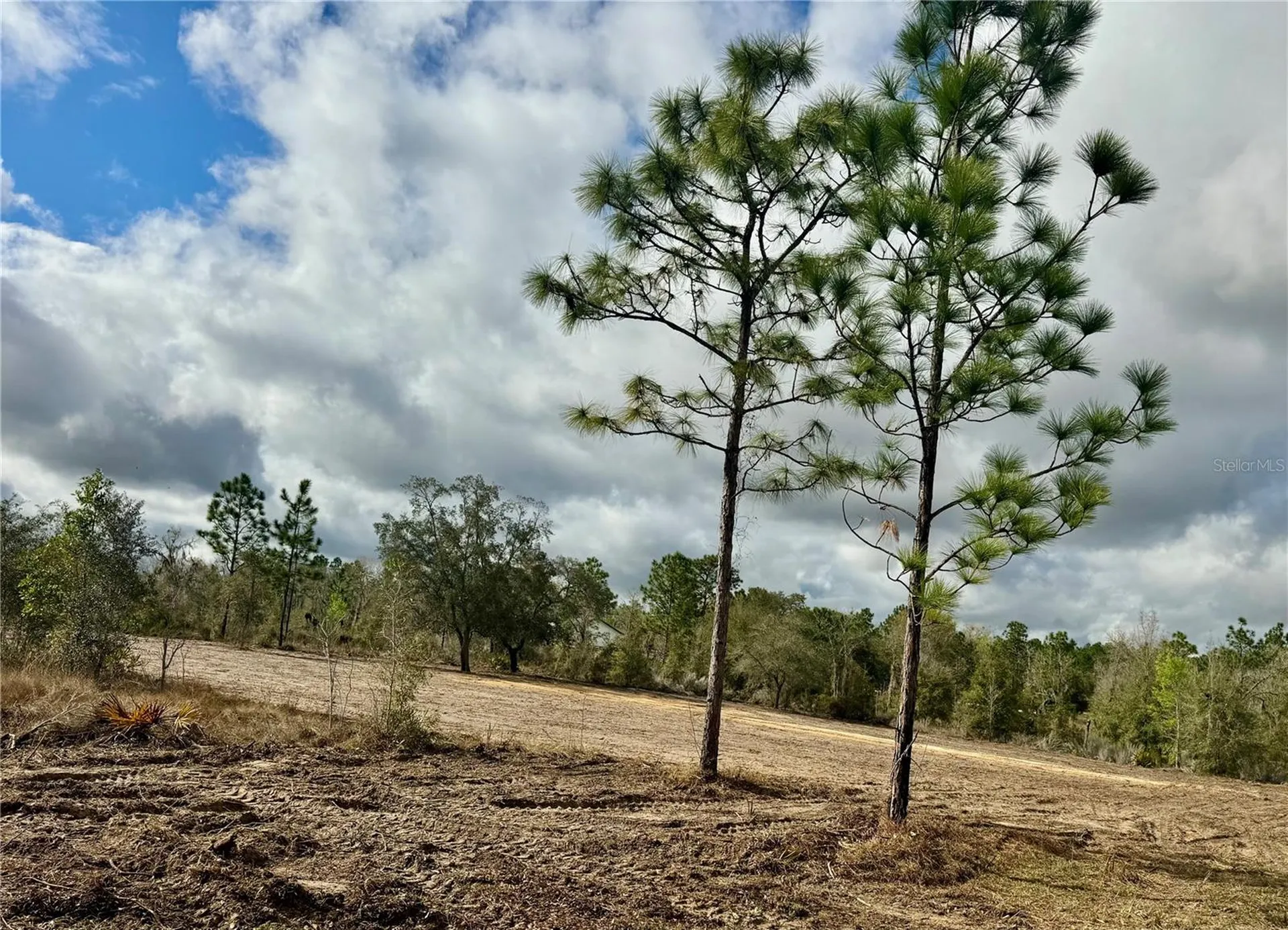Tbd NE 108th Terrace Archer FL 32618