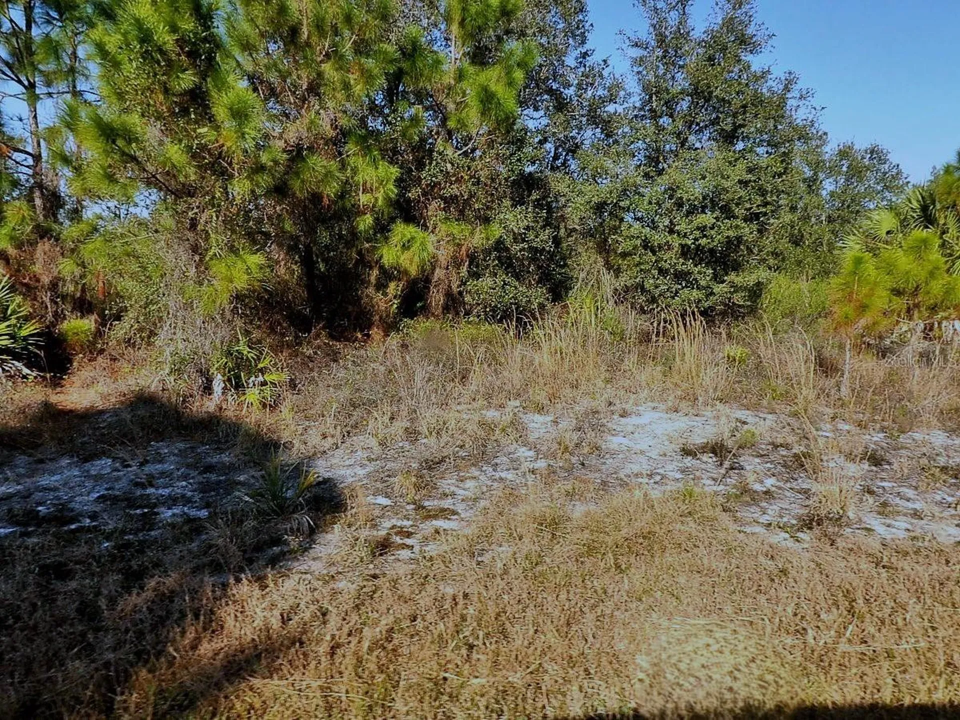 Winterville Circle North Port FL 34288