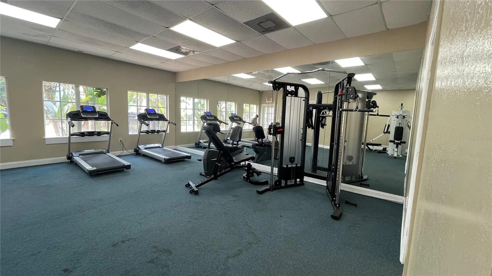 2850 Somerset Park Drive Tampa FL 33613
