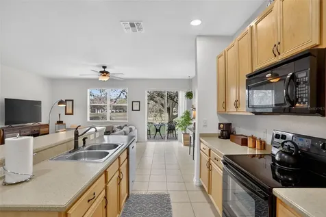 3060 Seaview Castle Drive Kissimmee FL 34746