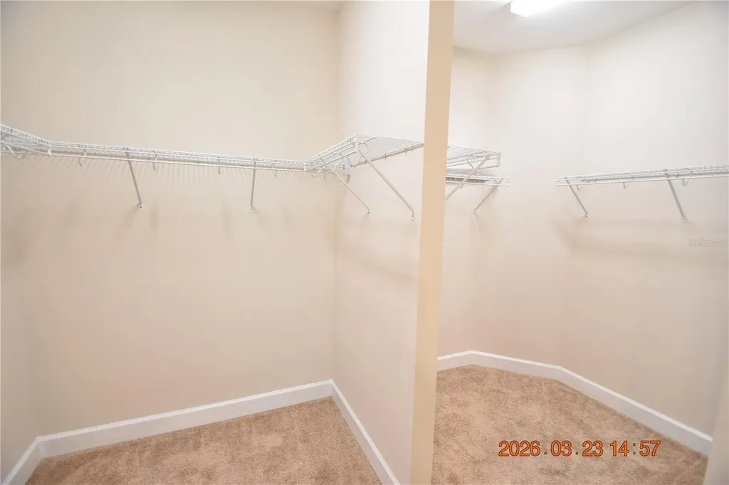 11119 Callisia Drive Odessa FL 33556