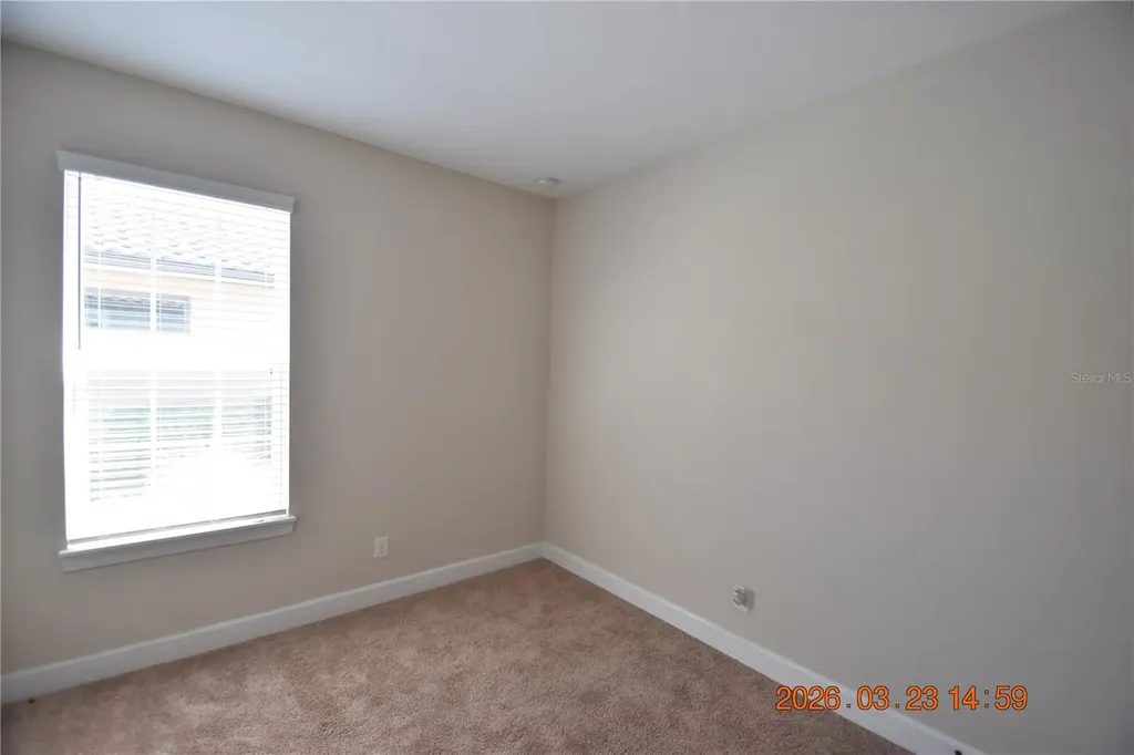 11119 Callisia Drive Odessa FL 33556