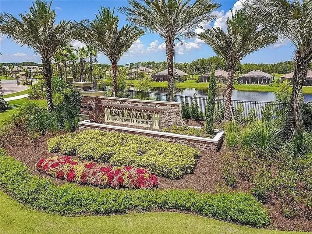 11119 Callisia Drive Odessa FL 33556
