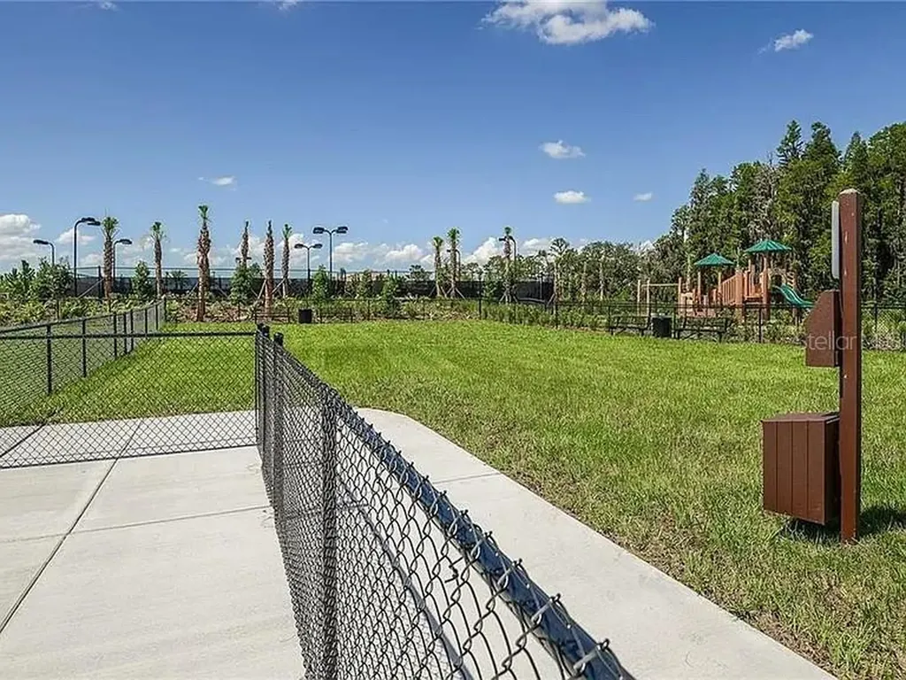 11119 Callisia Drive Odessa FL 33556