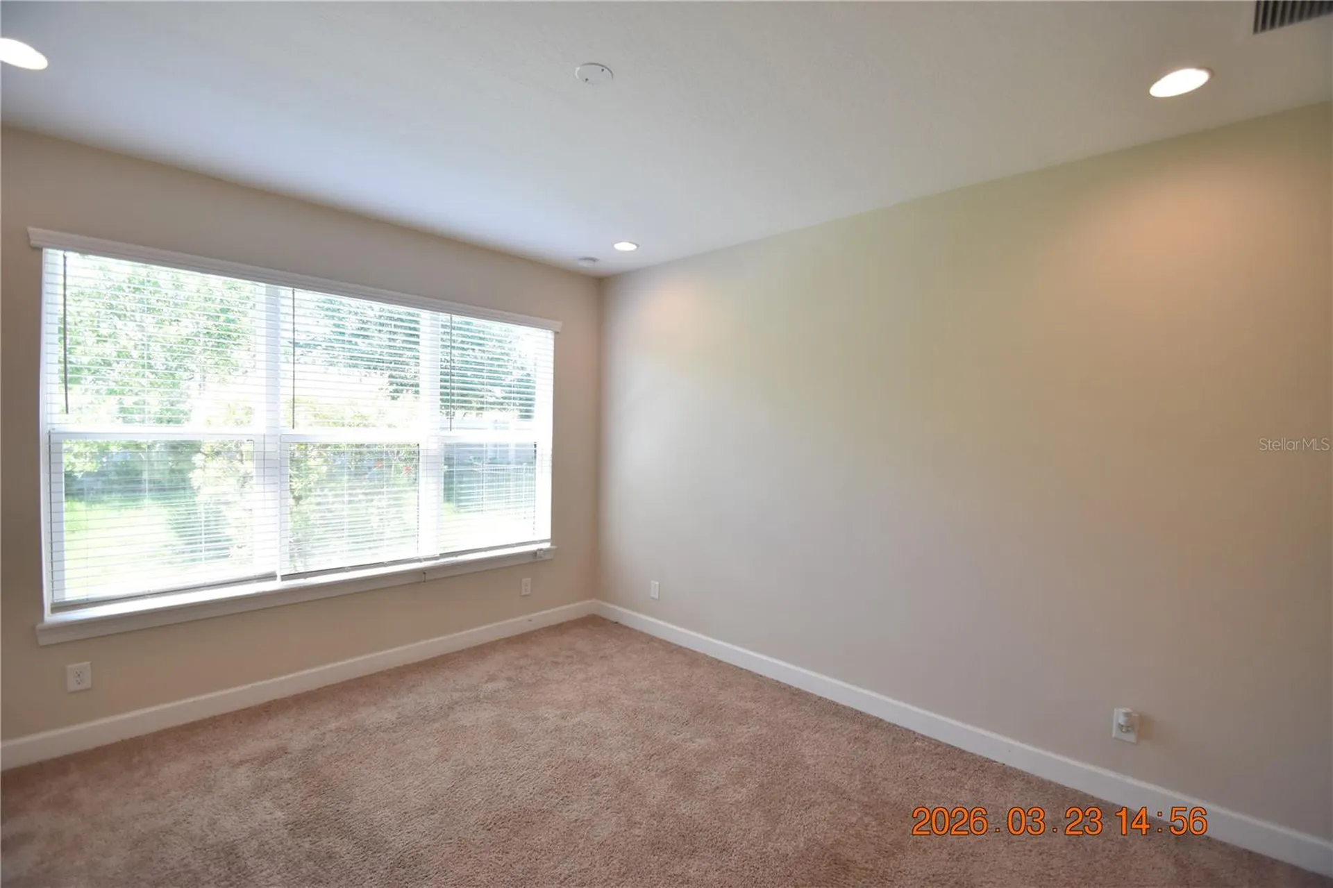 11119 Callisia Drive Odessa FL 33556