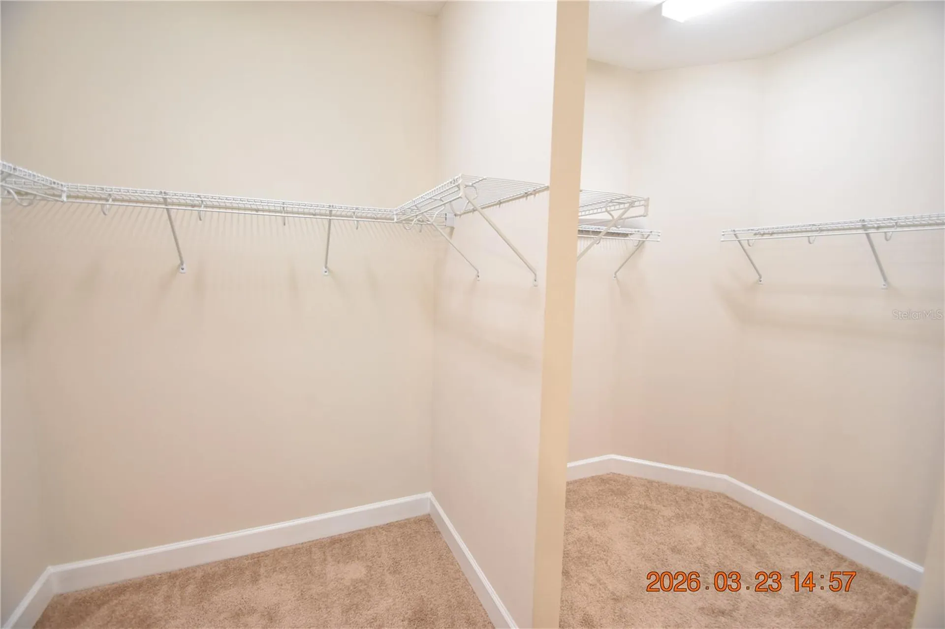 11119 Callisia Drive Odessa FL 33556