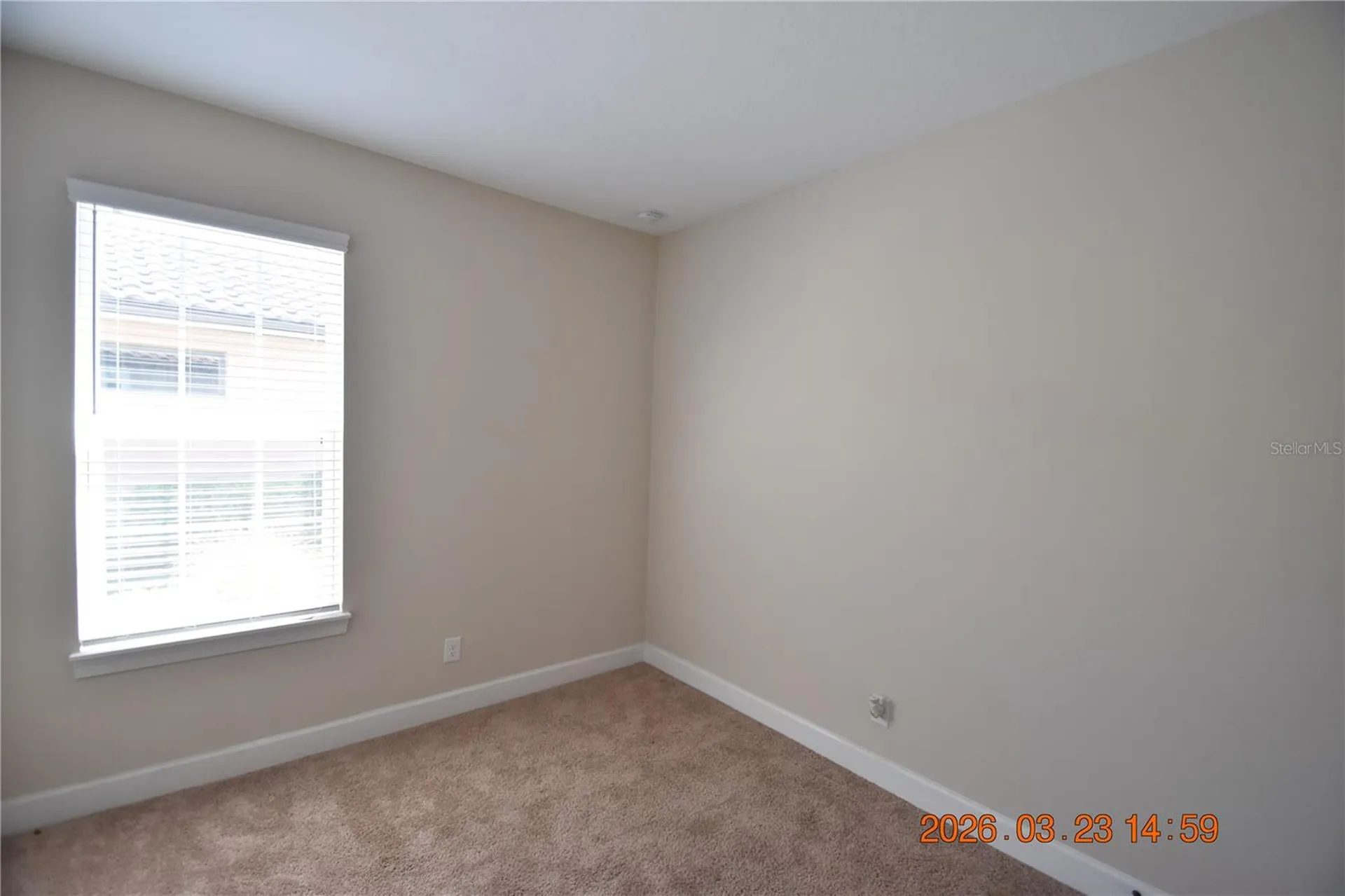 11119 Callisia Drive Odessa FL 33556