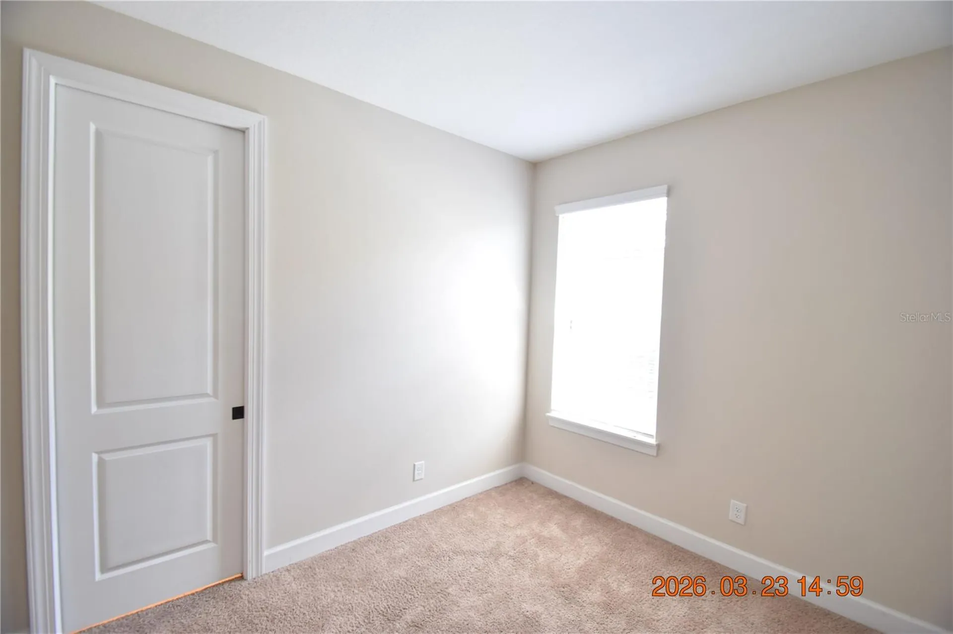 11119 Callisia Drive Odessa FL 33556