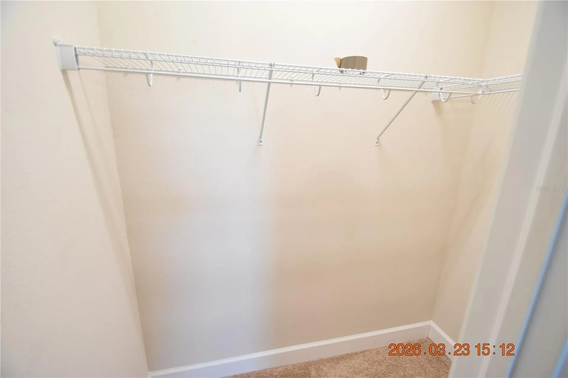 11119 Callisia Drive Odessa FL 33556