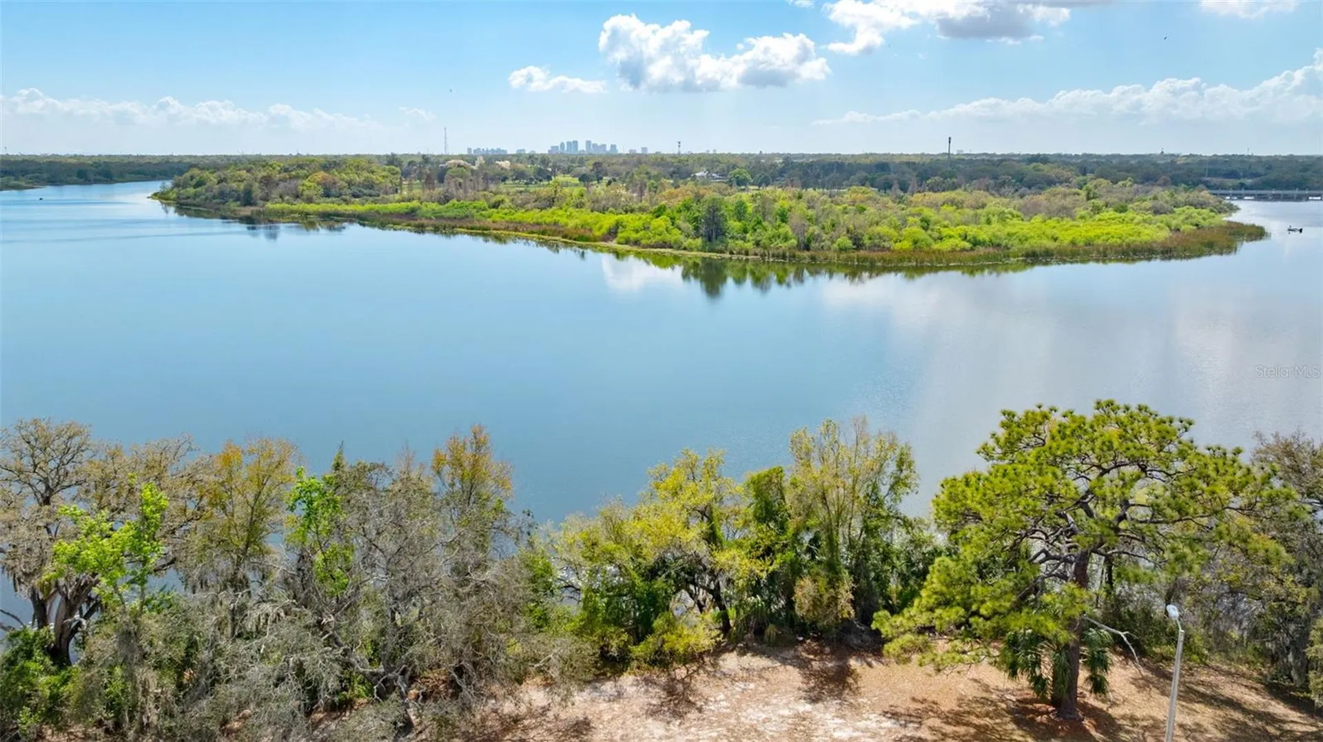 3414 Riverview Drive Tampa FL 33604