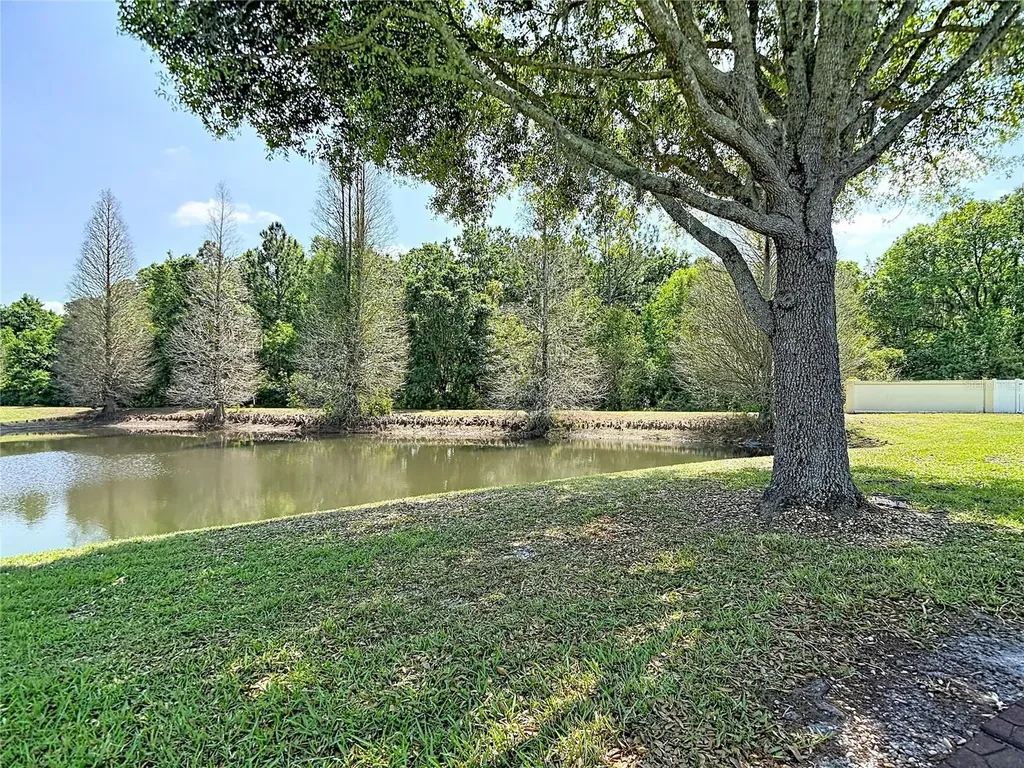 31965 Stillmeadow Drive Wesley Chapel FL 33543