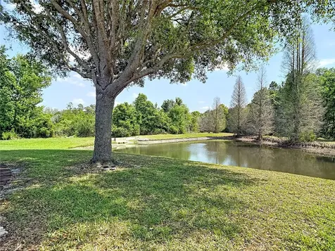 31965 Stillmeadow Drive Wesley Chapel FL 33543