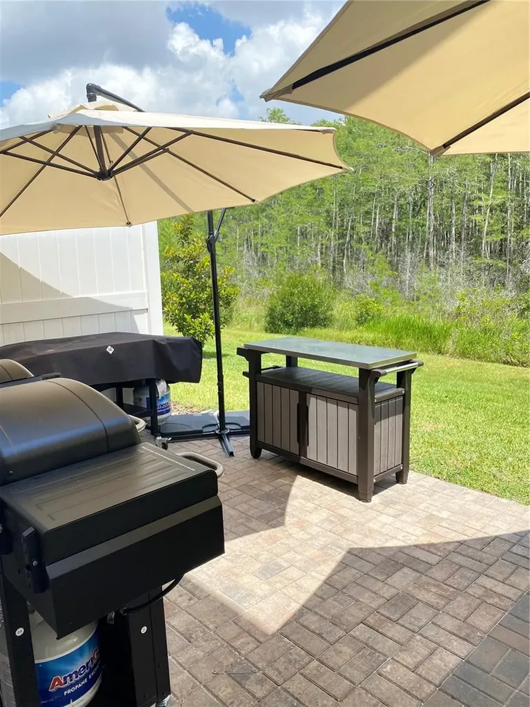 2469 Sedge Grass Way Orlando FL 32824