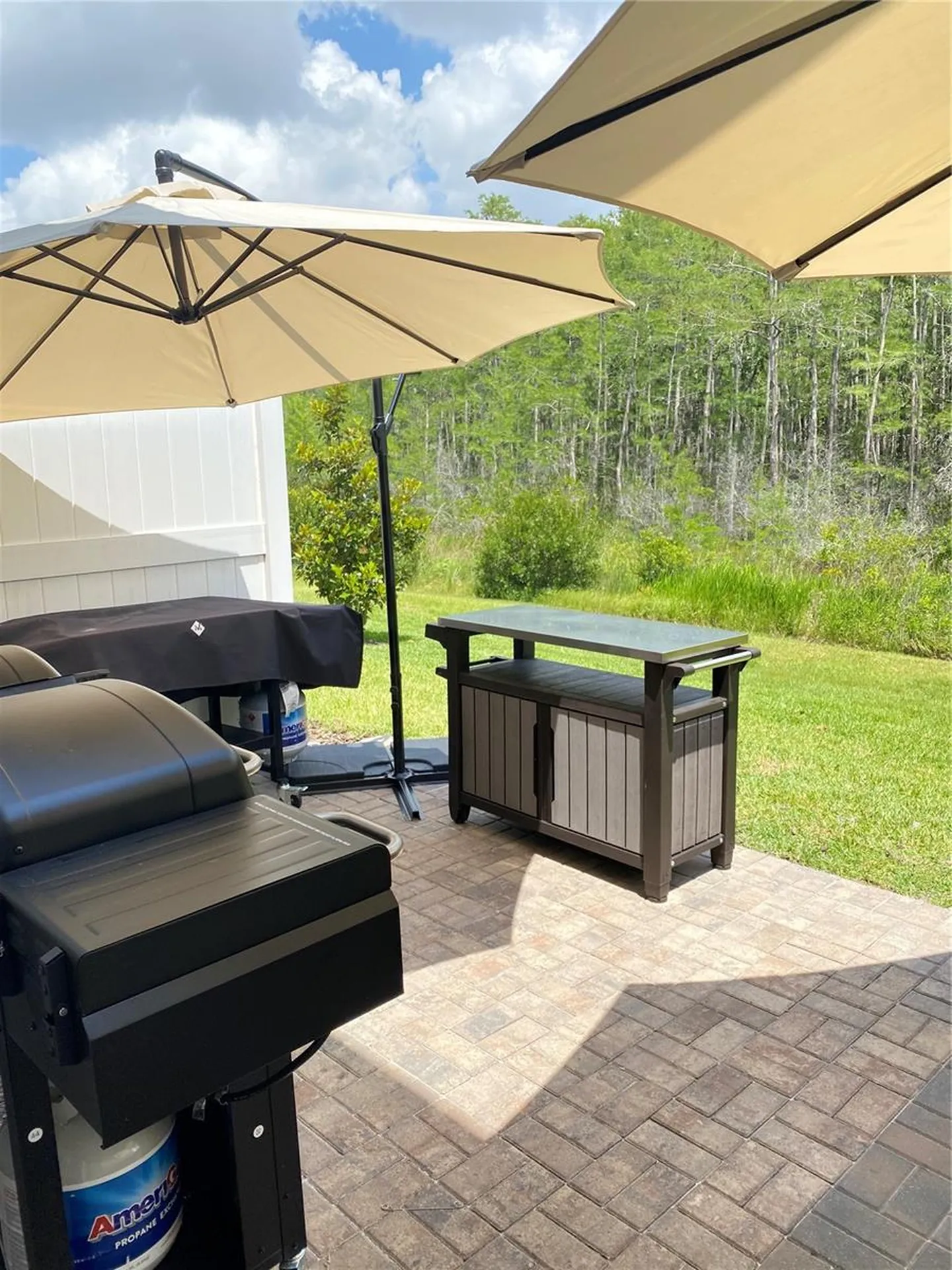 2469 Sedge Grass Way Orlando FL 32824