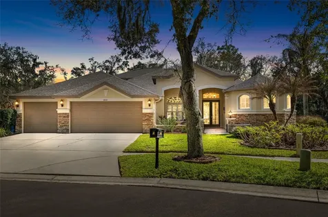 5919 Jaegerglen Drive Lithia FL 33547