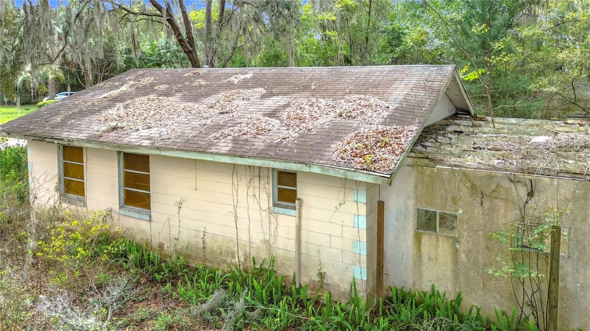 10160 SE 49th Court Belleview FL 34420