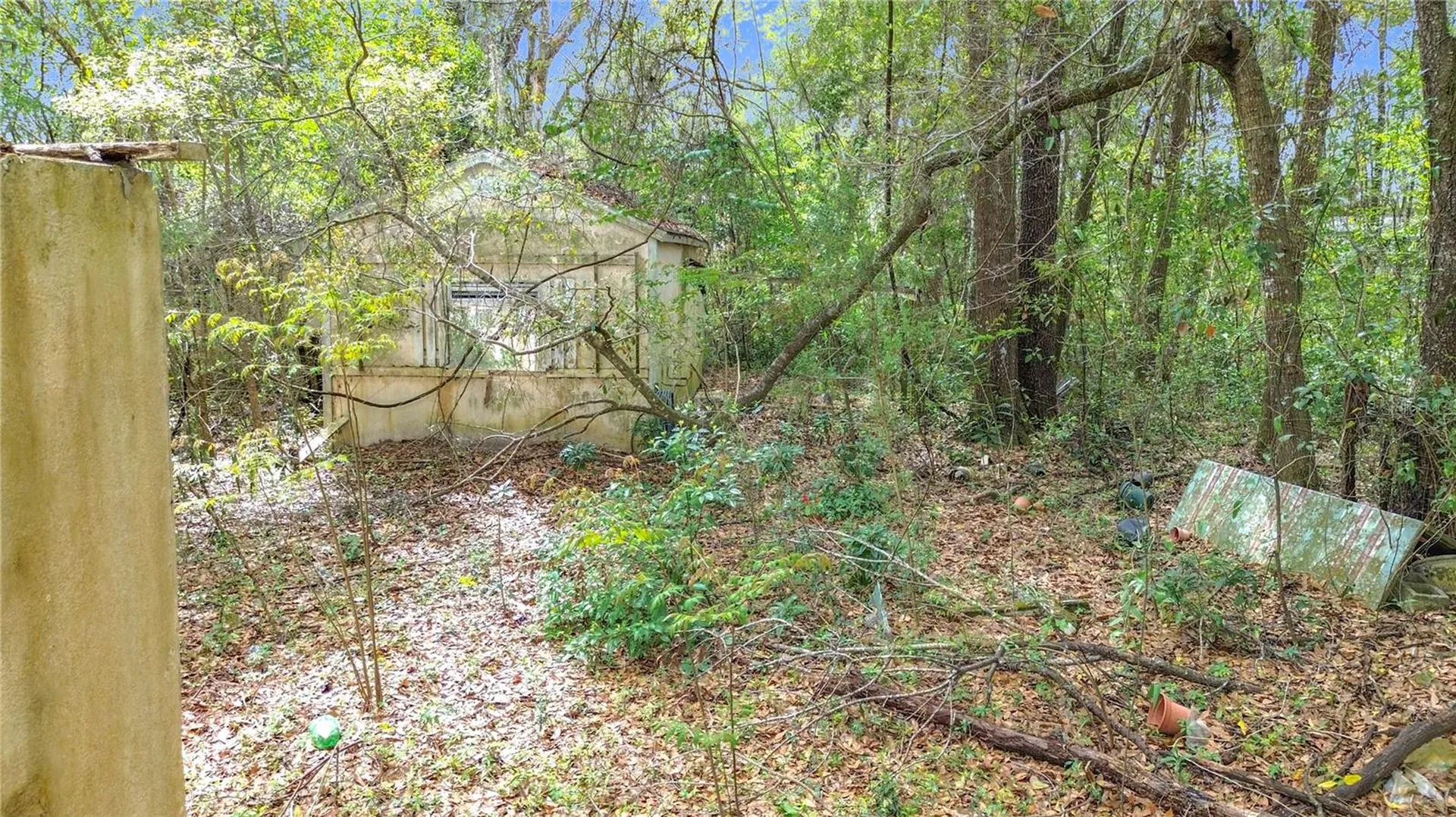 10160 SE 49th Court Belleview FL 34420