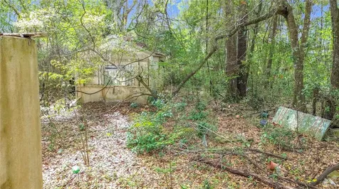 10160 SE 49th Court Belleview FL 34420