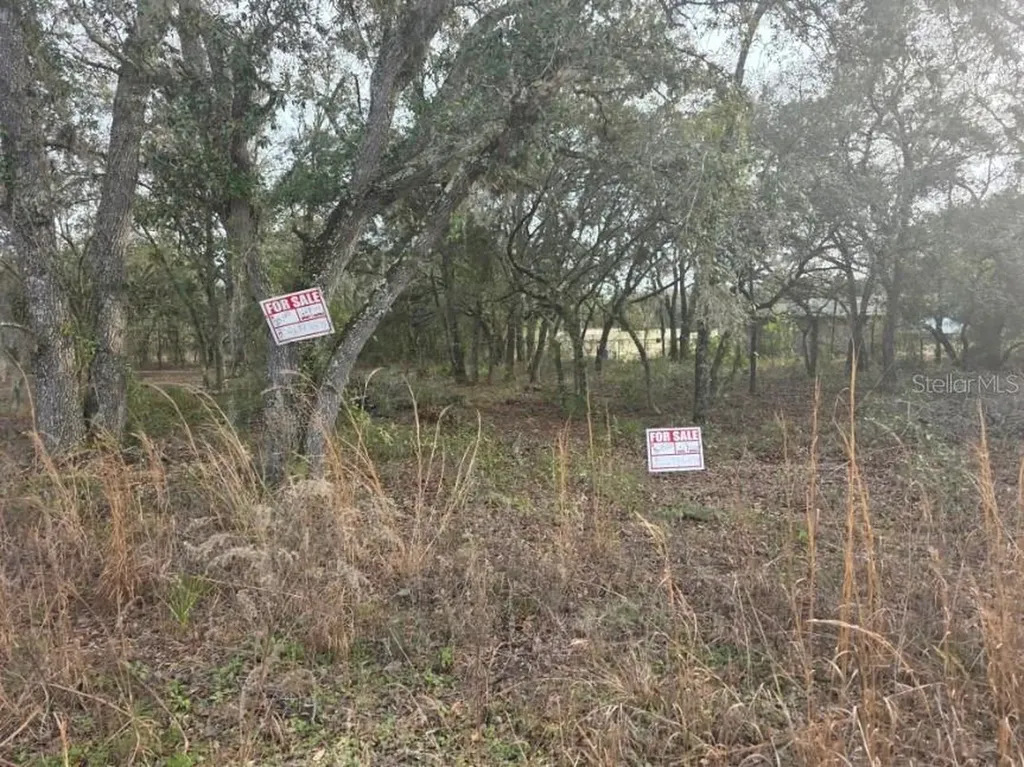 NE 62 Place Williston FL 32696