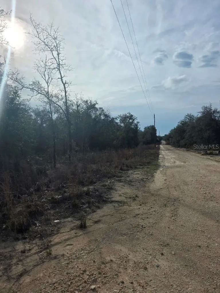 NE 62 Place Williston FL 32696