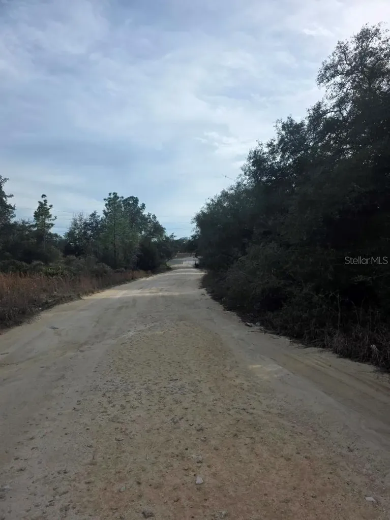 NE 62 Place Williston FL 32696