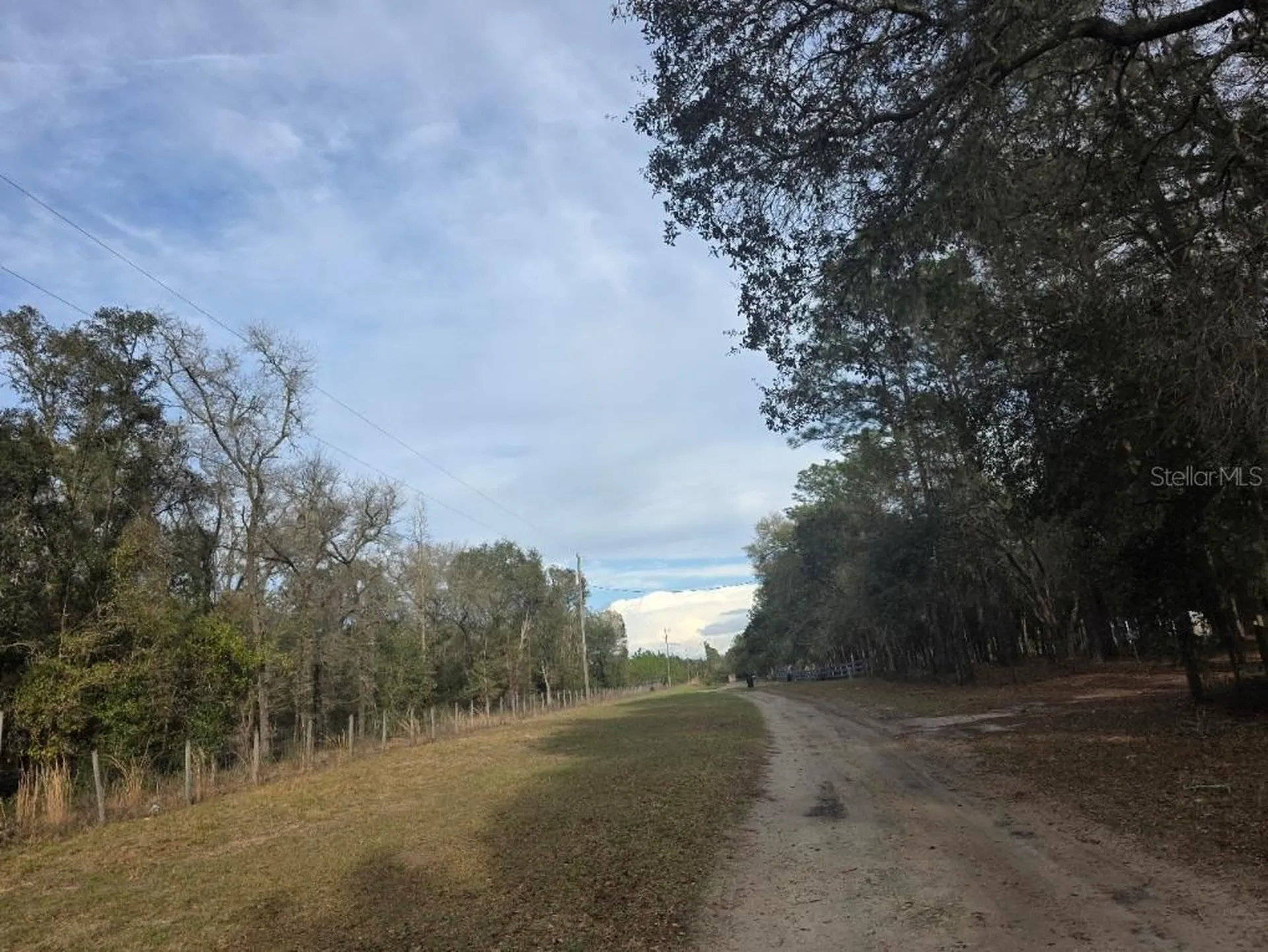 NE 62 Place Williston FL 32696