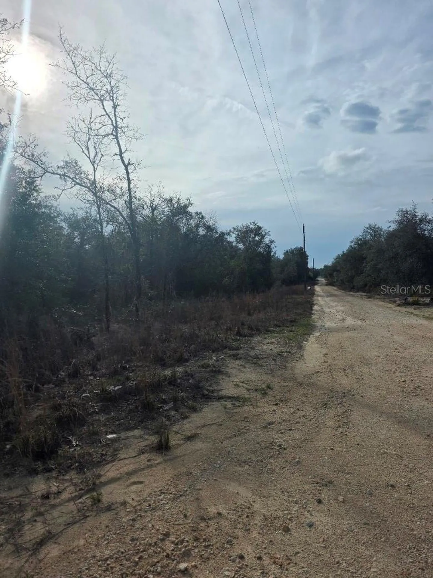 NE 62 Place Williston FL 32696