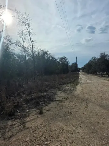 NE 62 Place Williston FL 32696