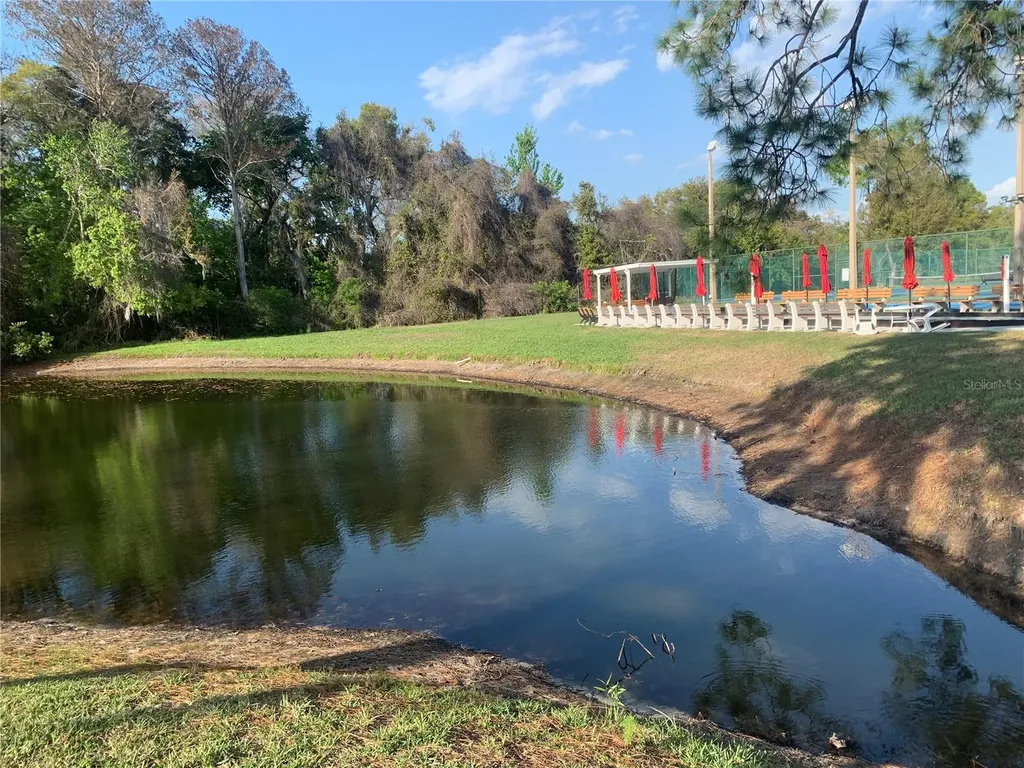 6424 Spring Flower Drive New Port Richey FL 34653