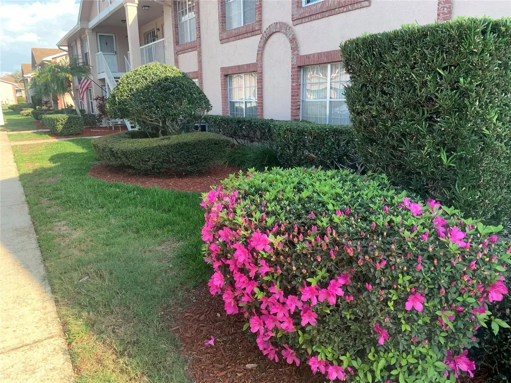 6424 Spring Flower Drive New Port Richey FL 34653