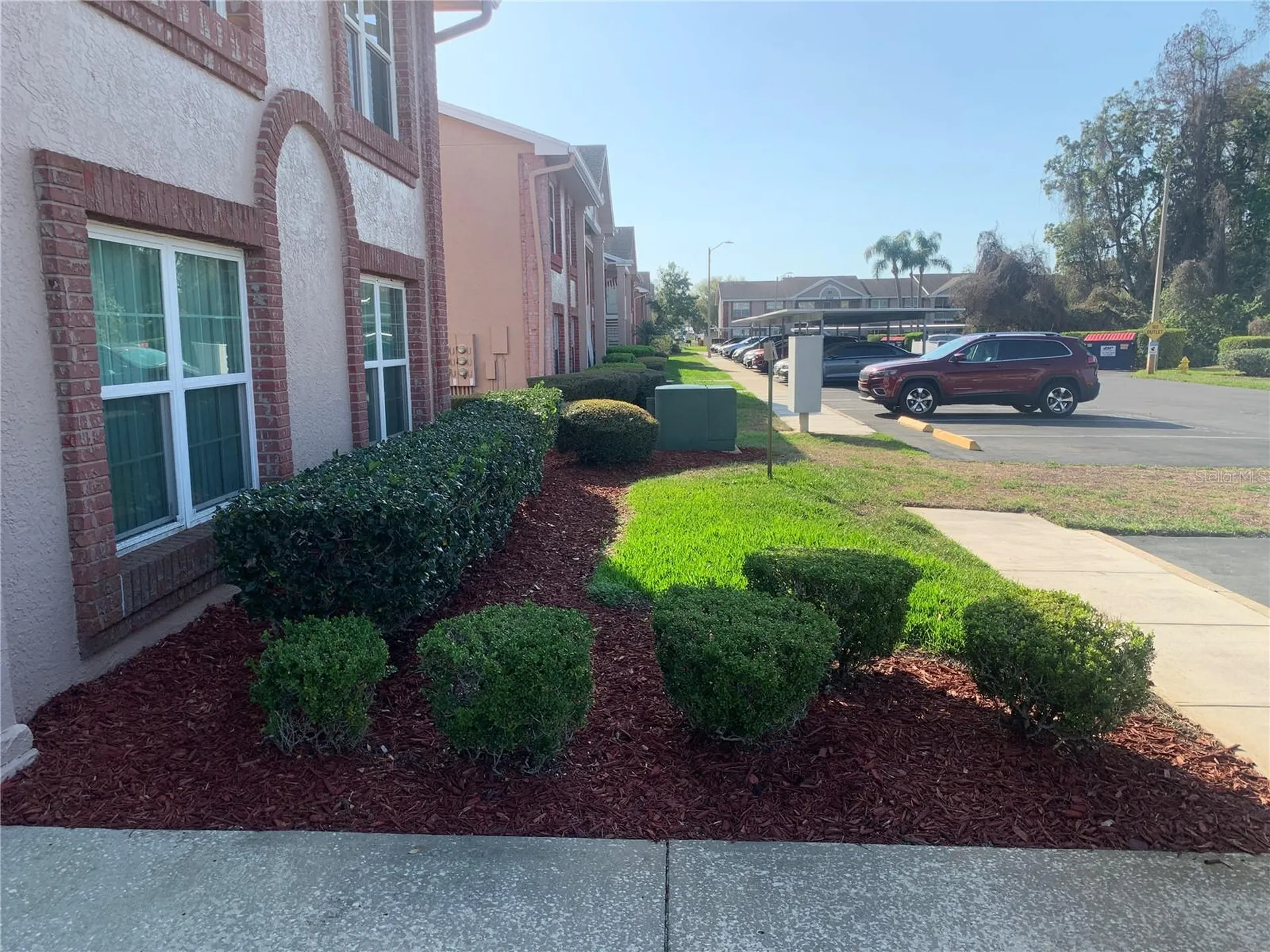 6424 Spring Flower Drive New Port Richey FL 34653