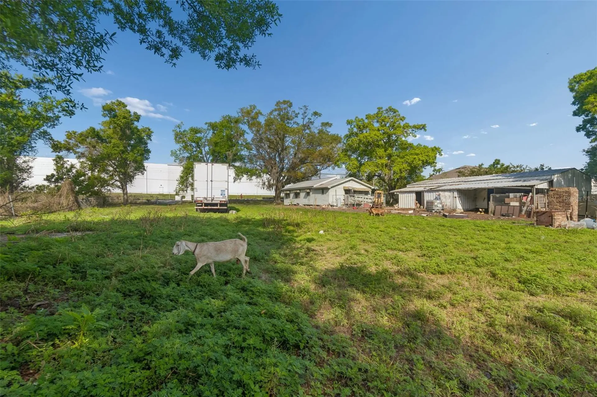 6213 Orient Road Tampa FL 33610