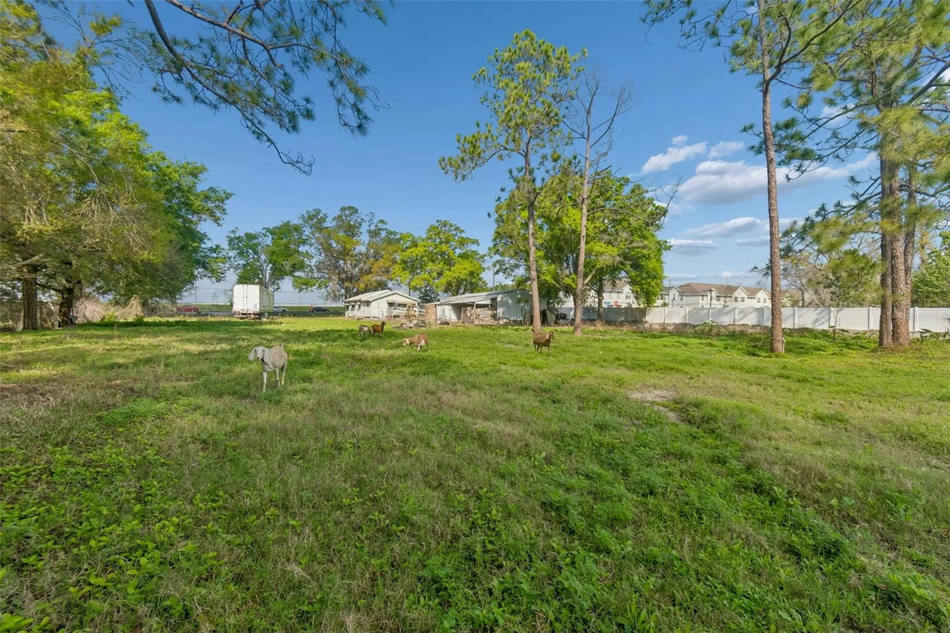 6213 Orient Road Tampa FL 33610