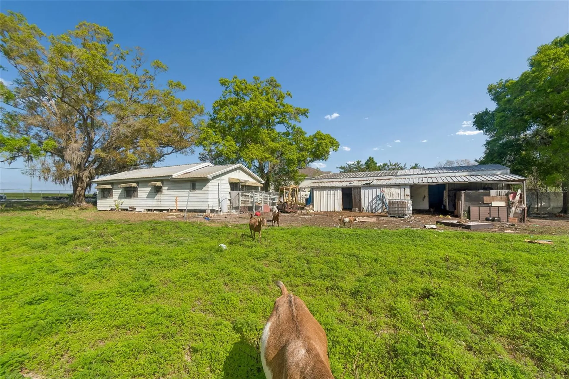 6213 Orient Road Tampa FL 33610