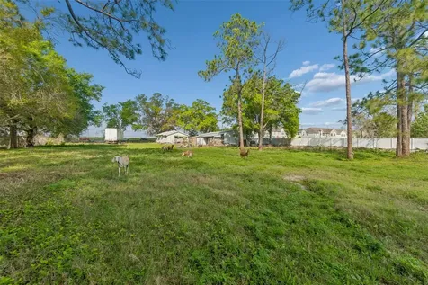 6213 Orient Road Tampa FL 33610