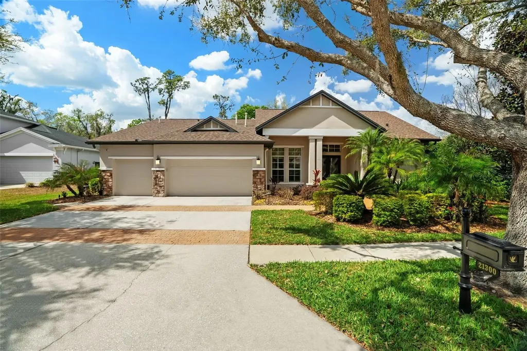 21300 Sky Vista Drive Land O Lakes FL 34637