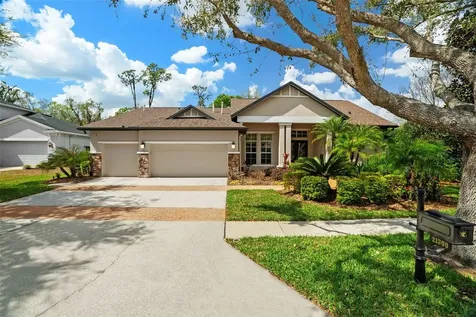 21300 Sky Vista Drive Land O Lakes FL 34637